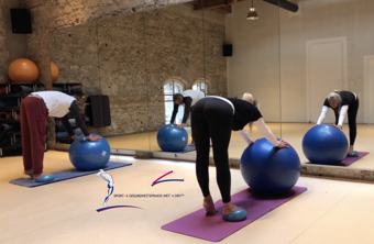 Faszientherapie nach Zeitvogel von Margot Zeitvogel-Schönthier Faszientherapie nach Zeitvogel mit kleinen und großen Ball von Margot Zeitvogel-Schönthier